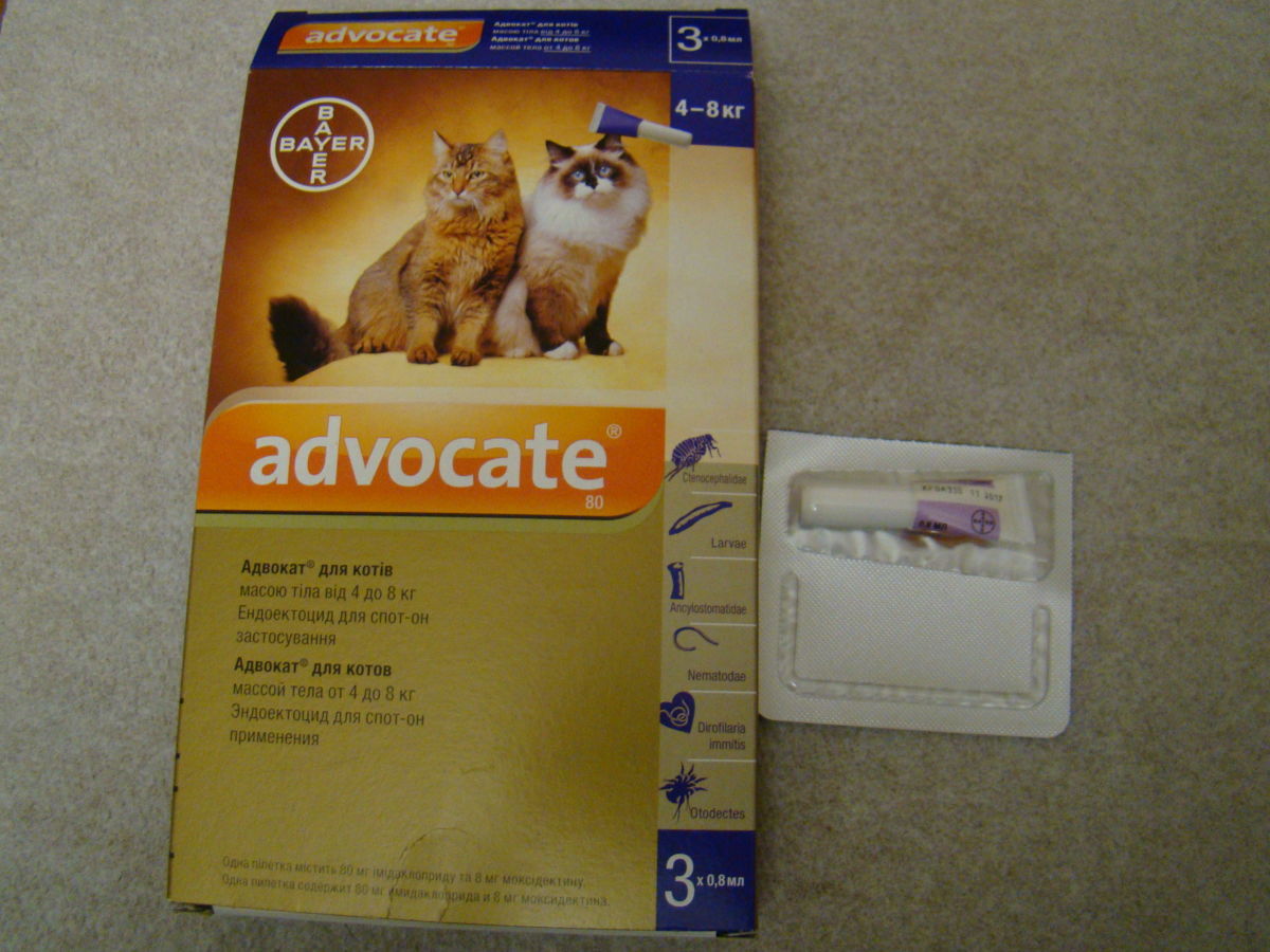 Адвокат кошки до 4. Bayer адвокат для кошек. Капли от блох адвокат для кошек. Адвокат кошки от 4 кг. Адвокат капли для котят.