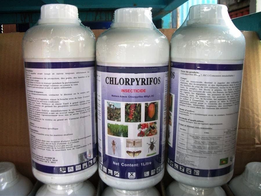 Первый пестицид. Хлорпирифос инсектицид. Хлорпирифос – 3%;. Хлорорганические инсектициды. Пестициды и инсектициды.