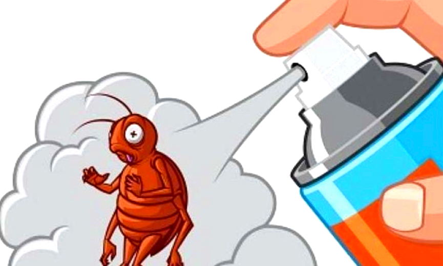 Как вывести домашних тараканов