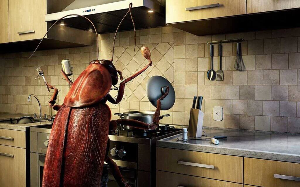Тараканы на кухне